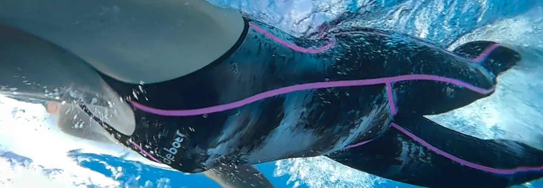 Women's Swim Skins and Wet Suits