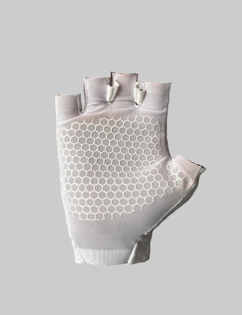 Web2Palm.jpg